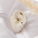 Bijou Lune Tragus Titane