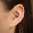 Mebsuta Titane Zircon - Obsidian Piercing